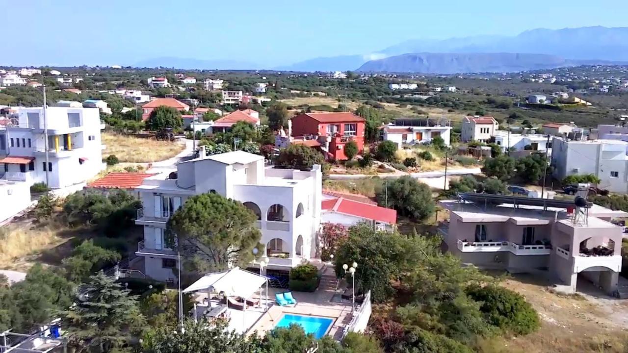 Chrysiida