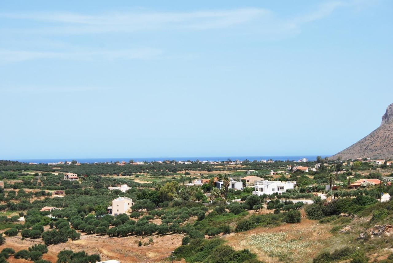 Chrysiida * Tersanas